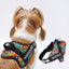 Personalized Dog Harness