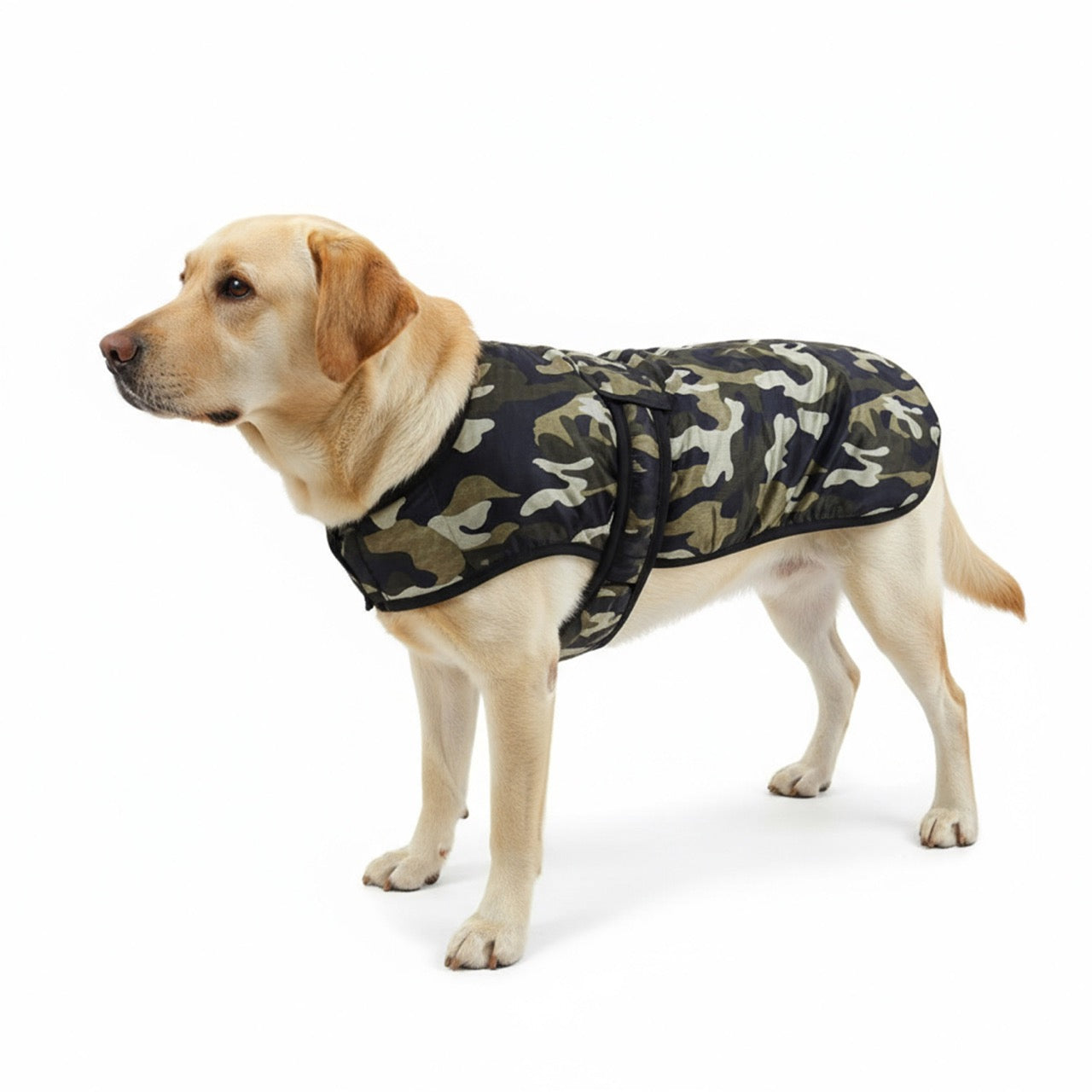 Dog Coat/Jacket - Camouflage ARMY