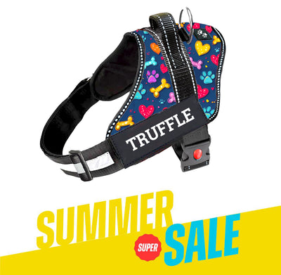 Personalized Dog Harness - CANINE CANVAS