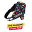 Personalized Dog Harness - CANINE CANVAS