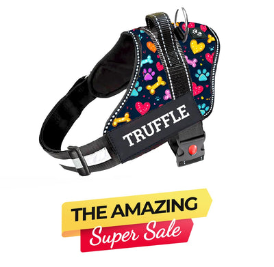 Personalized Dog Harness - CANINE CANVAS