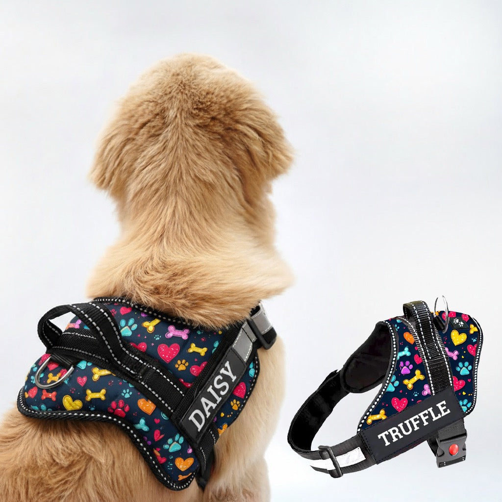 Personalized Dog Harness - CANINE CANVAS