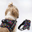Personalized Dog Harness