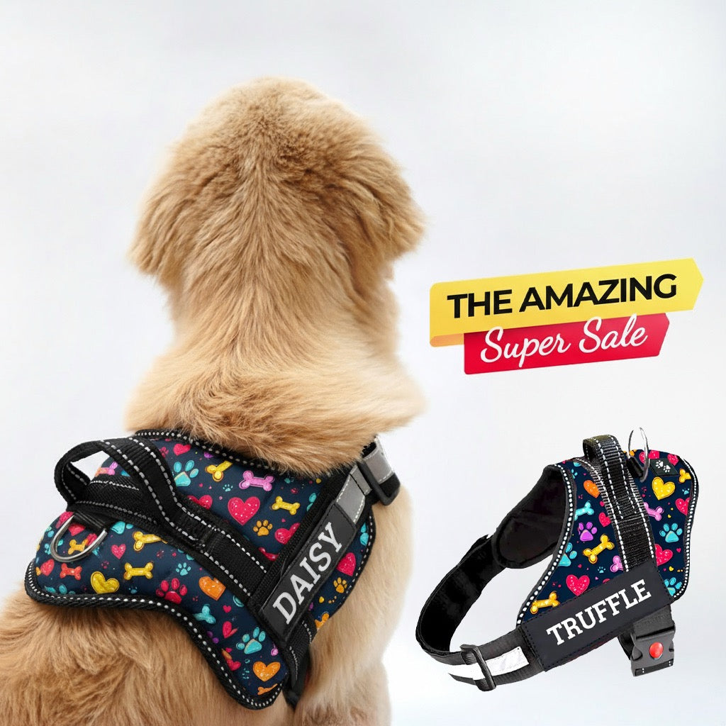 Personalized Dog Harness - CANINE CANVAS