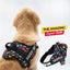 Personalized Dog Harness - CANINE CANVAS