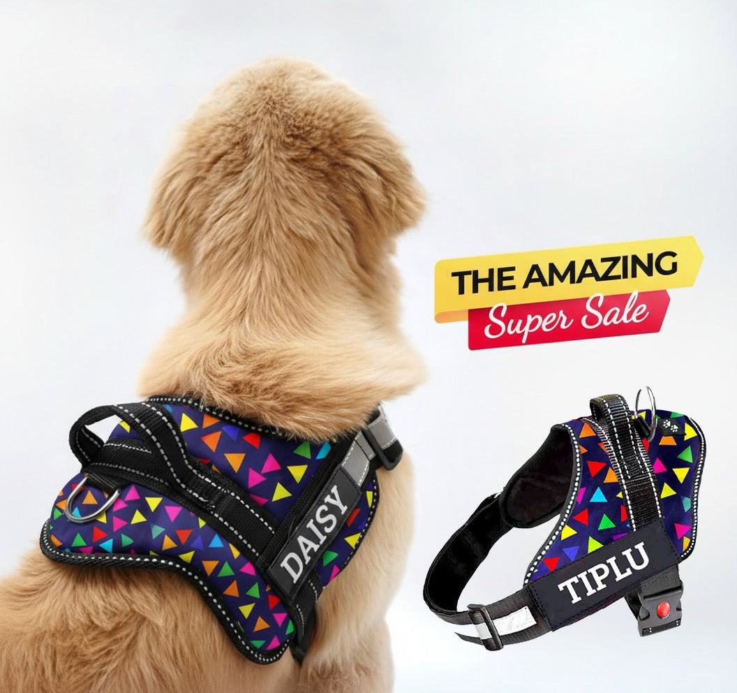Personalized Dog Harness - COLOR BOMB