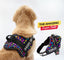 Personalized Dog Harness - COLOR BOMB