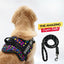 Personalized Dog Harness