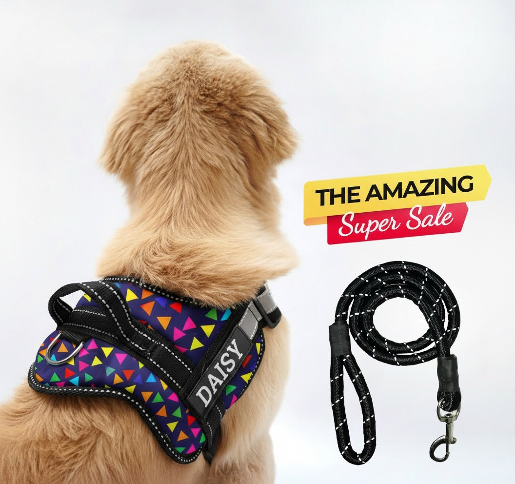 Personalized Dog Harness