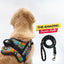 Personalized Dog Harness
