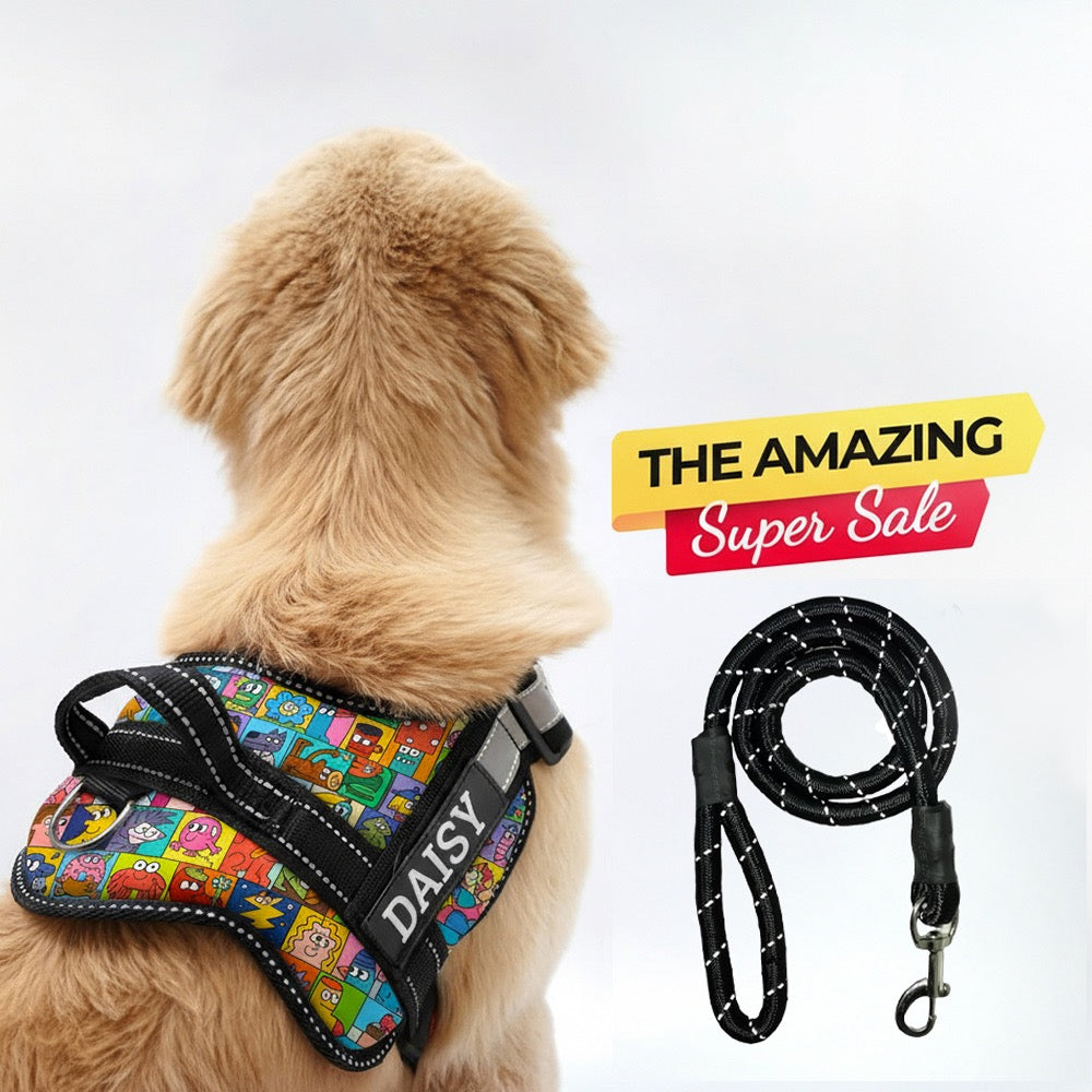 Personalized Dog Harness