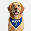 Personalized Bandana for Pets - BLUE