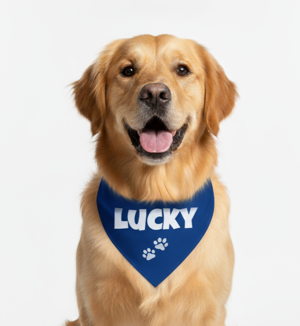 Personalized Bandana for Pets - BLUE
