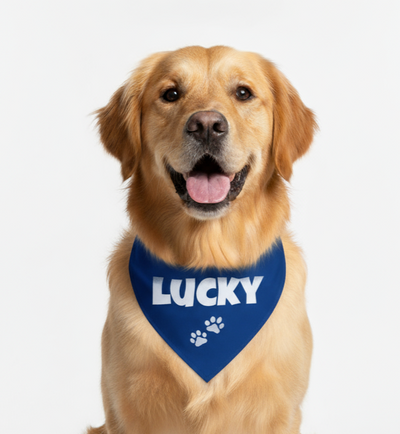 Personalized Bandana for Pets - BLUE