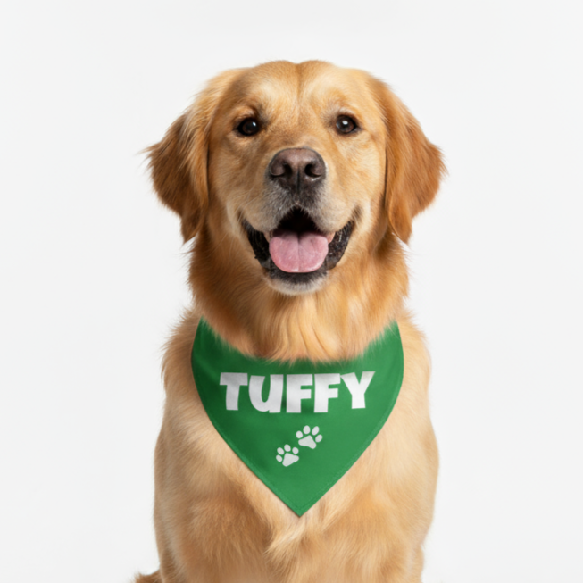 Personalized Bandana for Pets - GREEN
