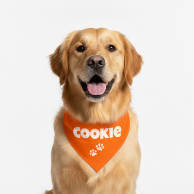 Personalized Bandana for Pets - ORANGE