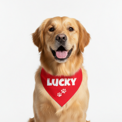 Personalized Bandana for Pets - RED