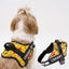 Personalized Dog Harness