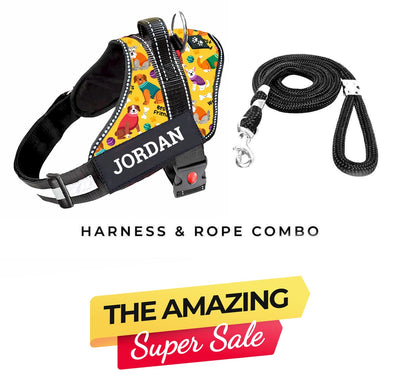 Personalized Dog Harness - DOODLES