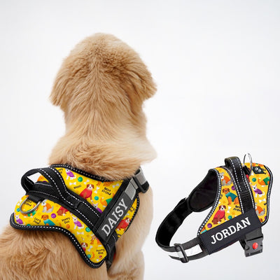 Personalized Dog Harness