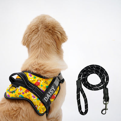 Personalized Dog Harness - DOODLES