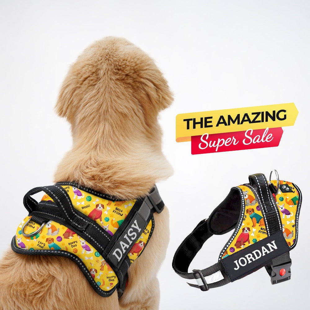 Personalized Dog Harness