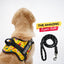 Personalized Dog Harness