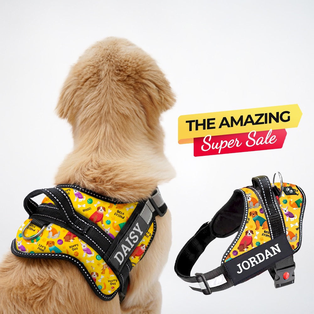 Personalized Dog Harness - DOODLES