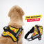 Personalized Dog Harness - DOODLES