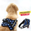 Personalized Dog Harness