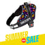 Personalized Dog Harness