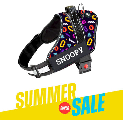 Personalized Dog Harness - FUNK IT UP!