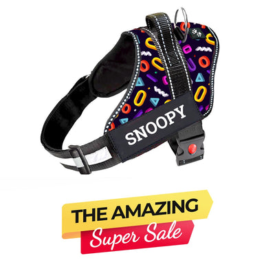 Personalized Dog Harness - FUNK IT UP!