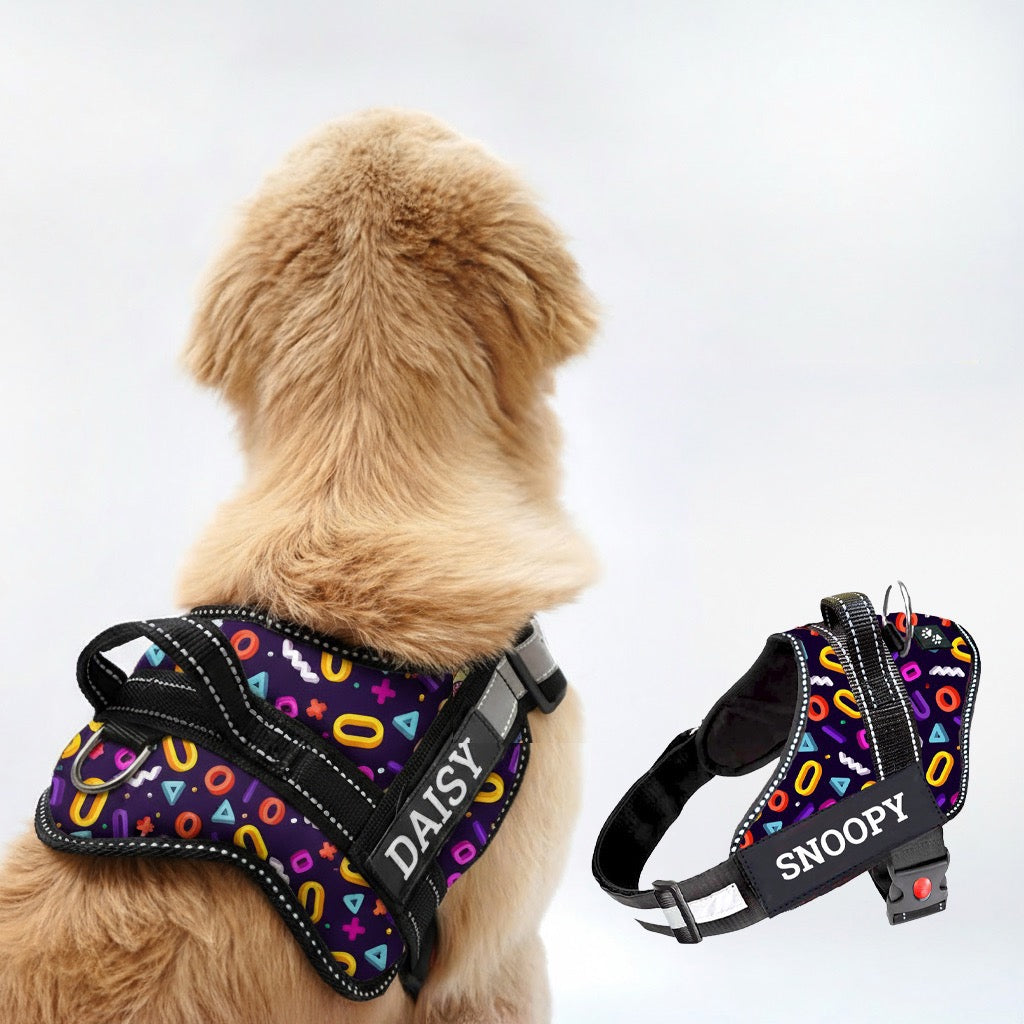 Personalized Dog Harness - FUNK IT UP!