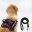 Personalized Dog Harness - FUNK IT UP!