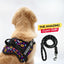 Personalized Dog Harness
