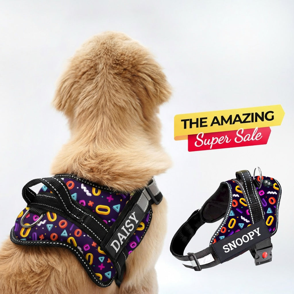 Personalized Dog Harness - FUNK IT UP!