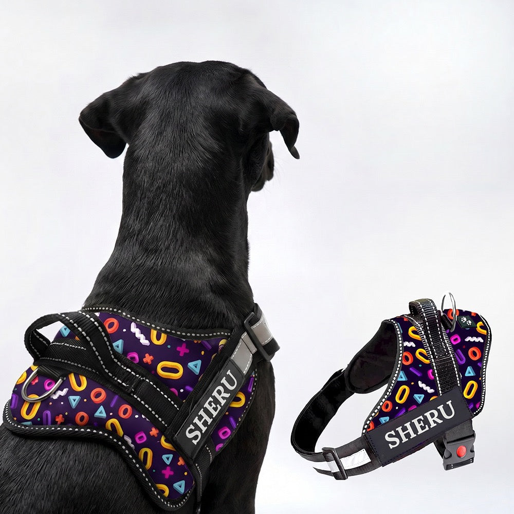 Personalized Dog Harness - FUNK IT UP!