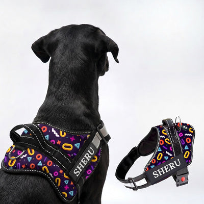 Personalized Dog Harness - FUNK IT UP!