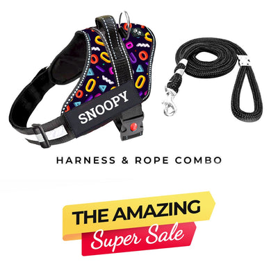Personalized Dog Harness - FUNK IT UP!