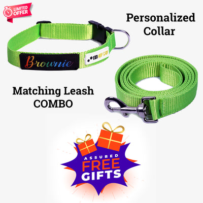 Personalized Dog Collar - GREEN