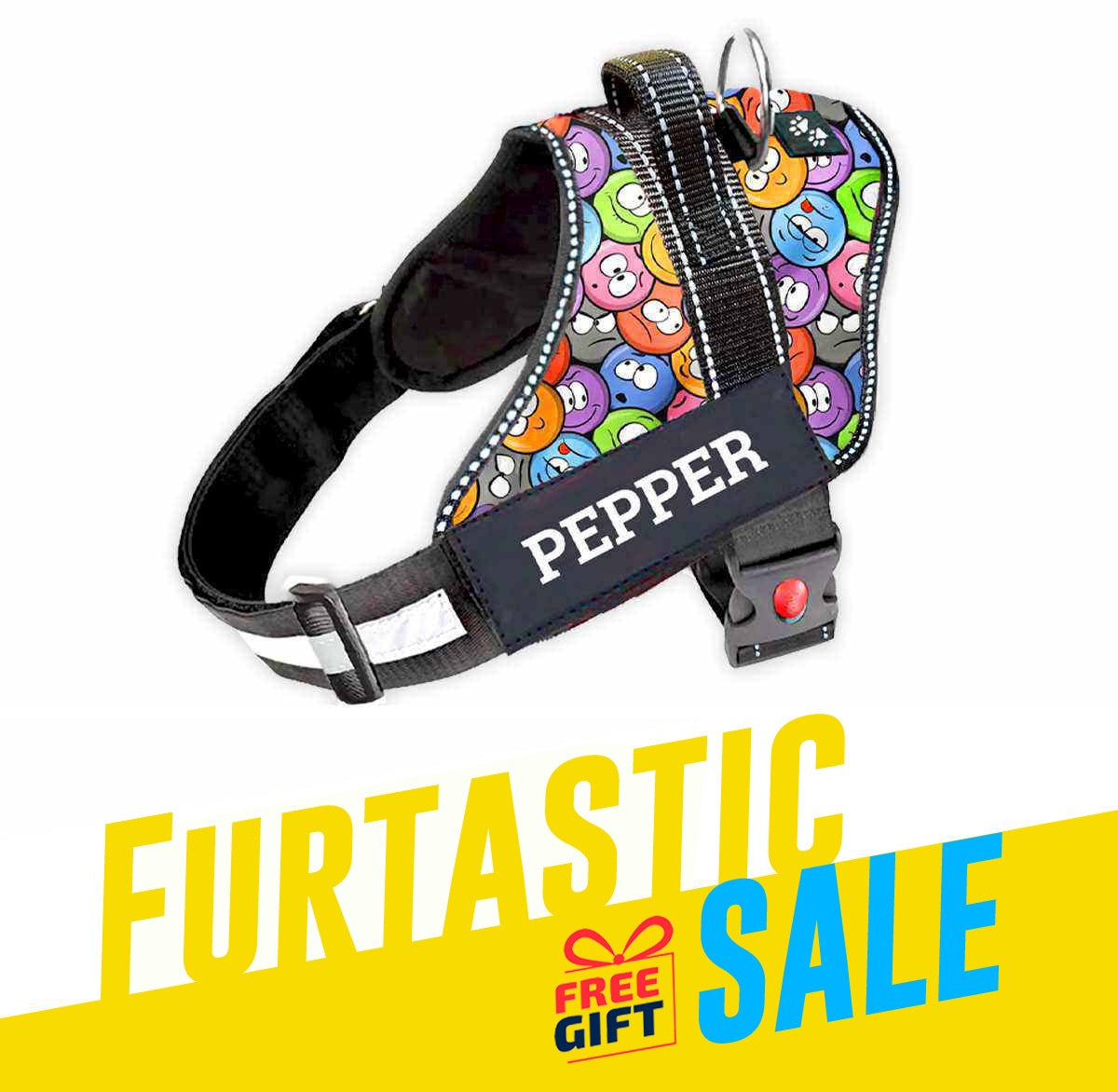 Personalized Dog Harness