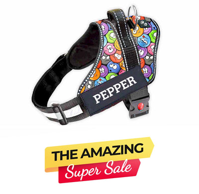 Personalized Dog Harness - GROOVY EMOJIS