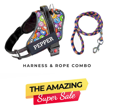 Personalized Dog Harness - GROOVY EMOJIS