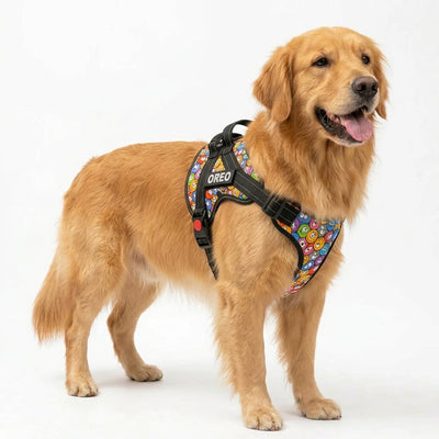 Personalized Supreme Harness - GROOVY EMOJIs