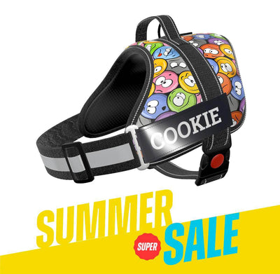 Personalized Dog Harness - GROOVY EMOJIS