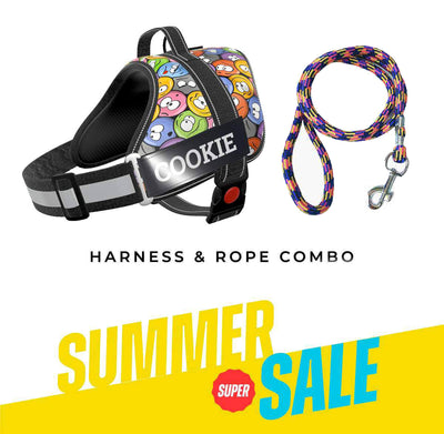 Personalized Dog Harness - GROOVY EMOJIS