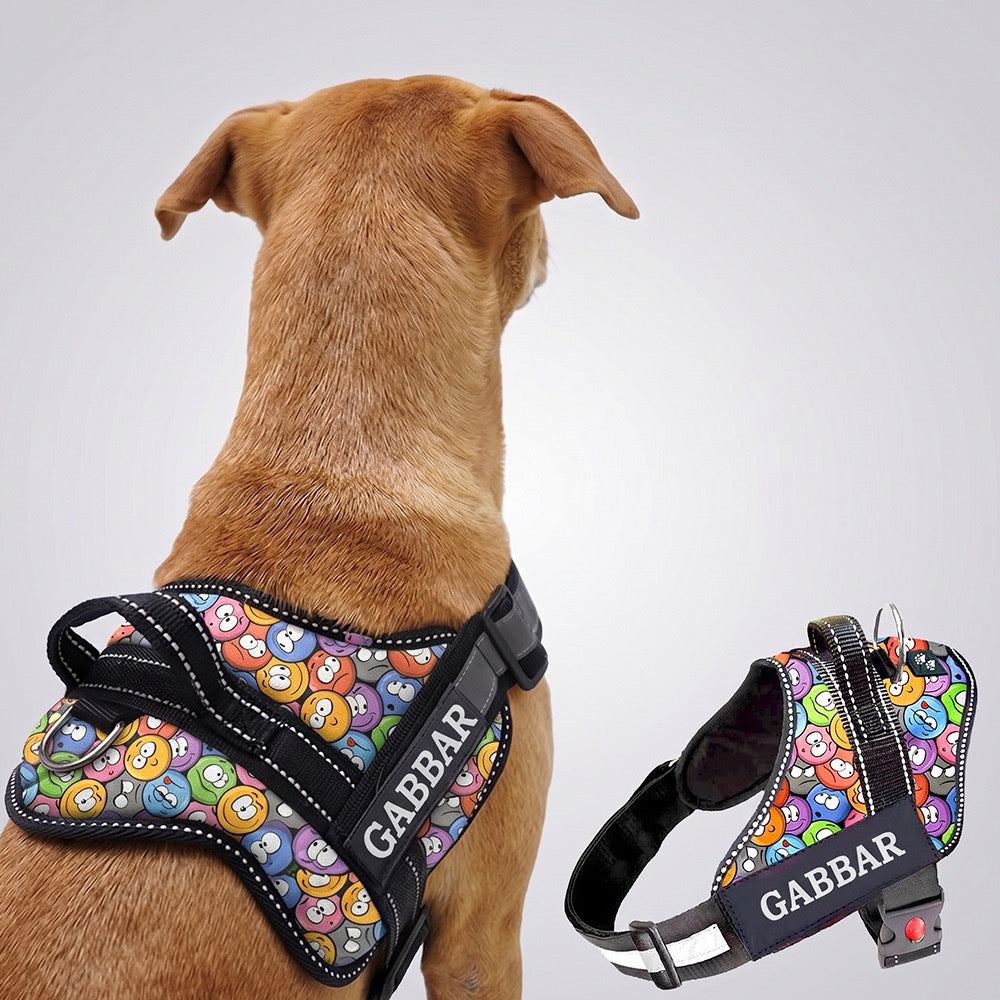 Personalized Dog Harness - GROOVY EMOJIS