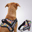 Personalized Dog Harness - GROOVY EMOJIS