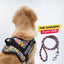 Personalized Dog Harness